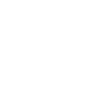 Perplexity AI logo