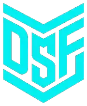 Digital Strategy Force Logo