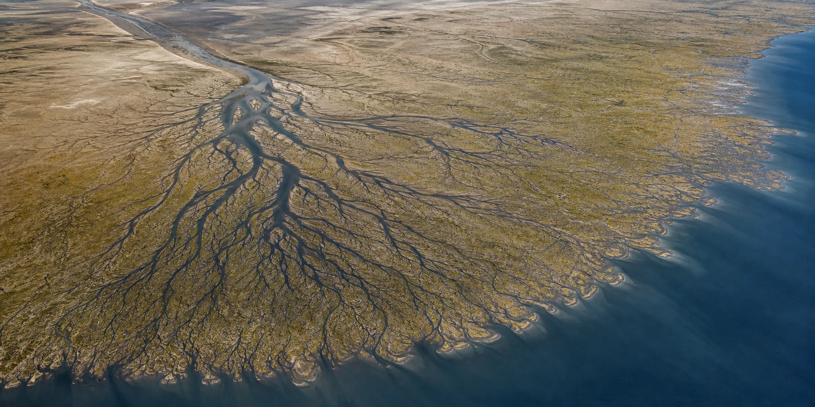 Aerial view of a branching river delta fanning from one trunk channel, representing SEO-optimized site architecture